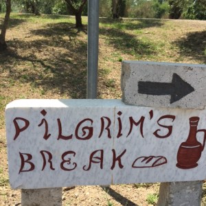 pilgrimsbreak