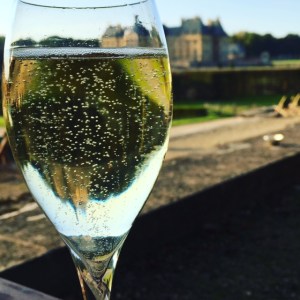champagnereflection