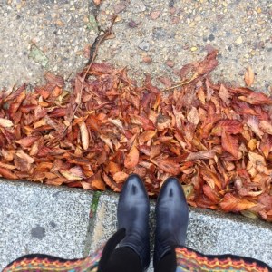 fallleavesbootsparis