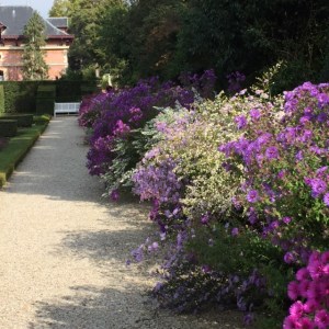 flowerpathwaybagatelle