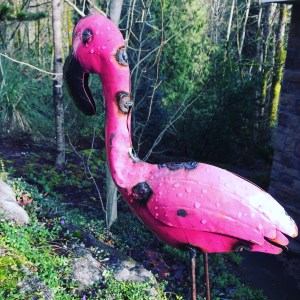 flamingohouse