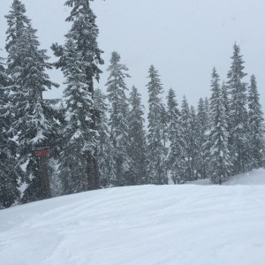 powderstevens
