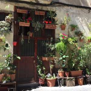 houseplantsbarcelona