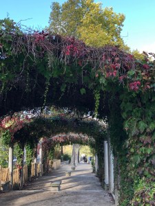 parkbehindsacrecoeur