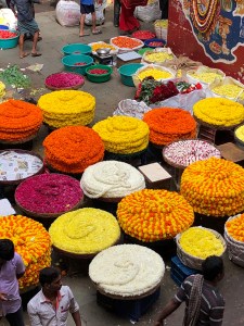 bangaloreflowermarket