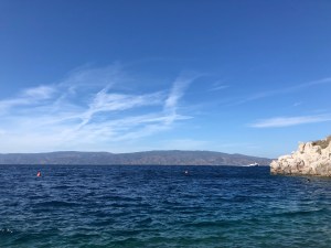 beachhydra