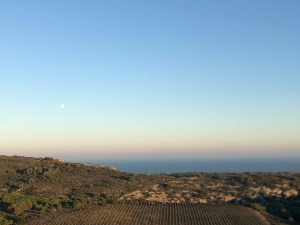 viewofseafromchateaulhospitalet