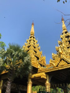 shwedagon